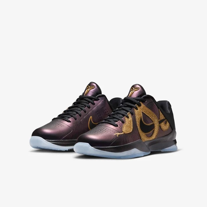 Basketball Shoes