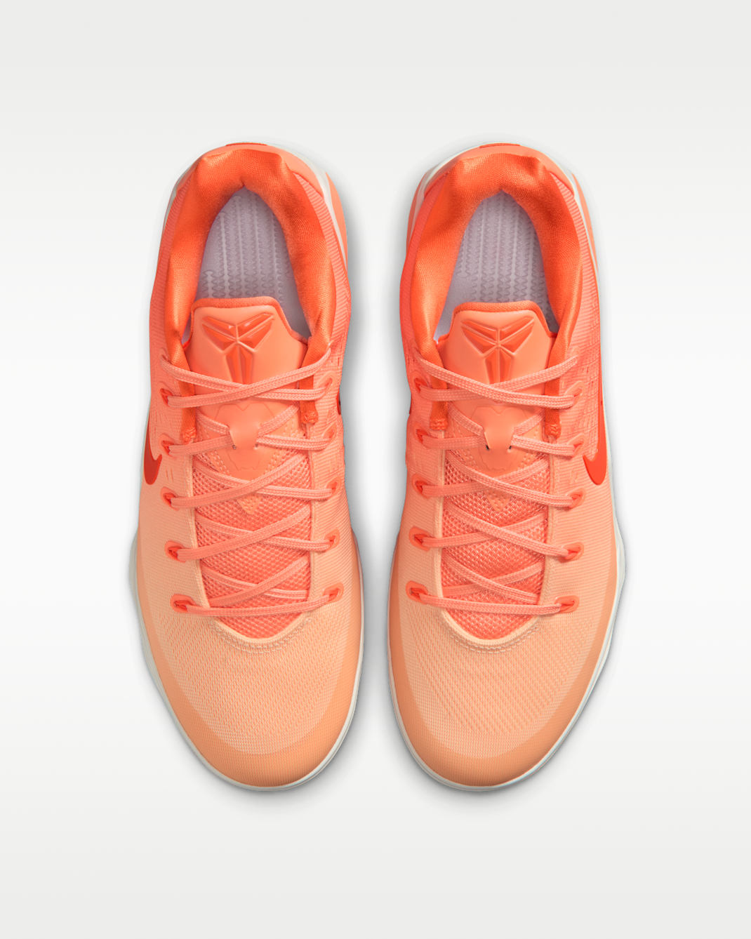 Kobe 9 Low Protro